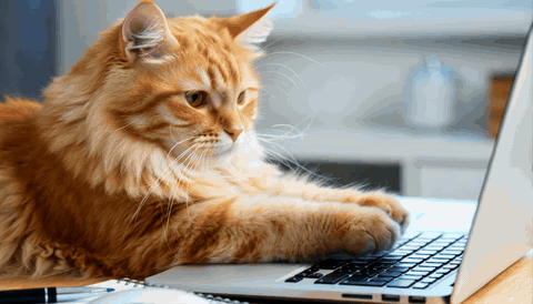 Orange cat typing furiously on a laptop — text to GIF